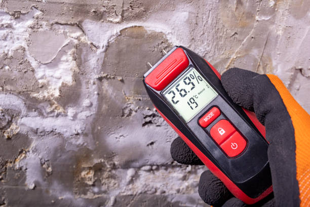 Best Water Damage Restoration  in Riverse, ID
