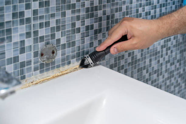 Best Local Mold Removal Service  in Riverse, ID